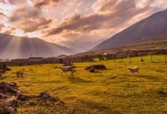 【海螺溝+稻亞7日】拼車之旅